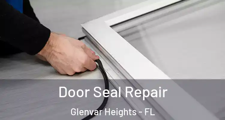 Door Seal Repair Glenvar Heights - FL