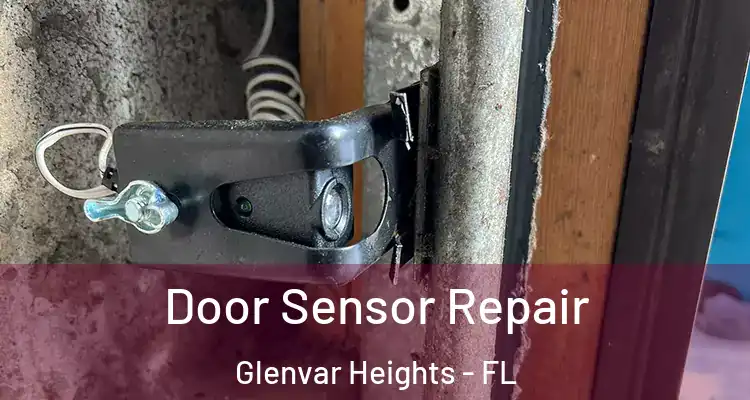 Door Sensor Repair Glenvar Heights - FL