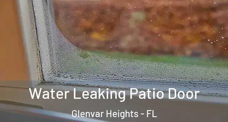 Water Leaking Patio Door Glenvar Heights - FL